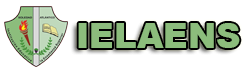 Aula Virtual IELAENS